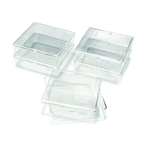 Gel Staining Box