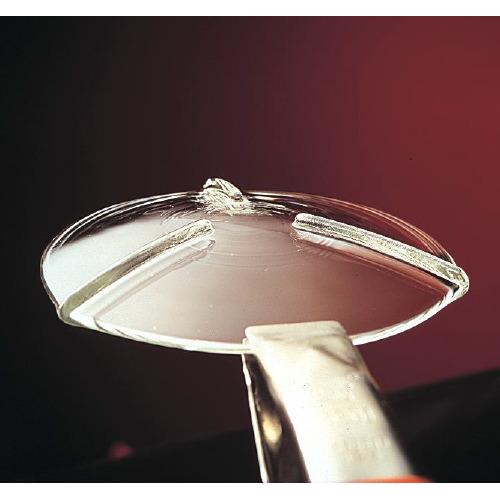 PYREX® Ribbed Watch Glass/Beaker Cover