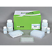 AccuPrep® PCR Purification kit 2 x 96-well plate
