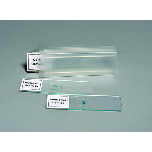 PREPARED SLIDE SET, 4 SLIDES