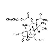 PHORBOL 12-MYRISTATE 13-ACETATE, 25 mg