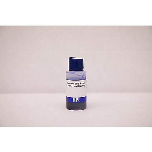 Laemmli SDS Sample Buffer