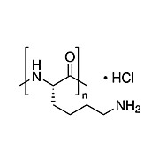 Poly-L-Lysine