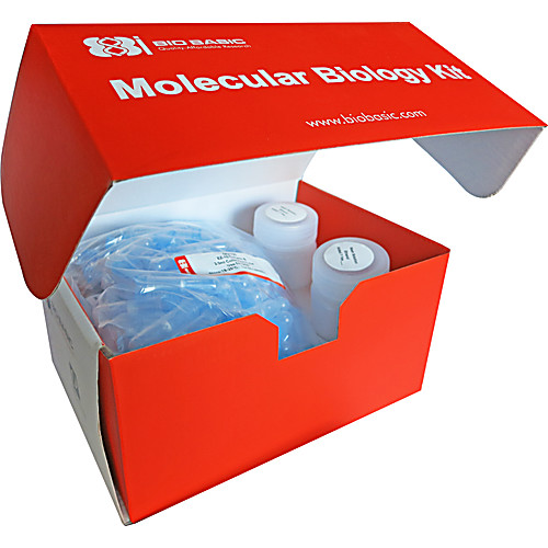 BCA Protein Assay Kit