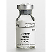 Corning® Laminin