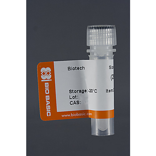 phi29 dna polymerase