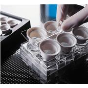 Netwell™ White Reagent Trays