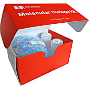 Bacterial Protein Extraction Kit, 10X Strength Solution