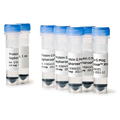 Protein G Mag Sepharose™ Xtra