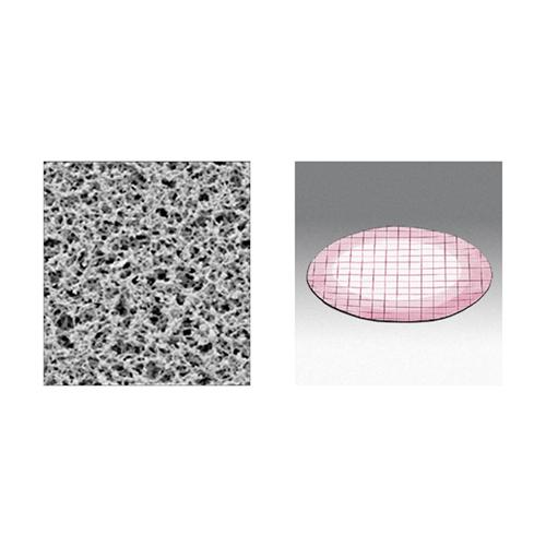 QC Analysis Sterile Cellulose Nitrate Membrane Filters w/ Hydrophobic Edge