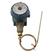 TB110 Hazardous-Area Rated Bulb and Capillary Temperature Controller