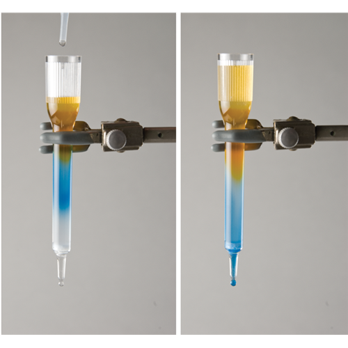 gel filtration chromatography