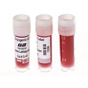 best compact printer for mac