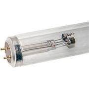 Philips 30 Watt 36" T8 Germicial Fluorescent Bulb