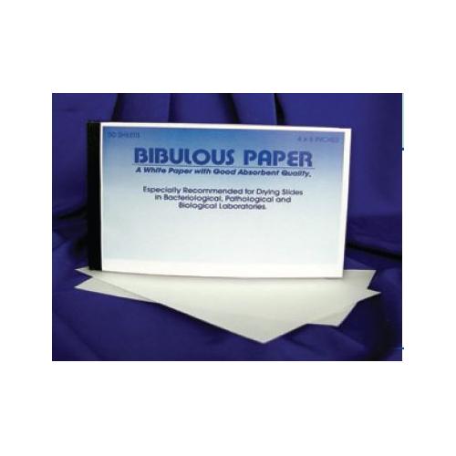 Essay writing on customer service