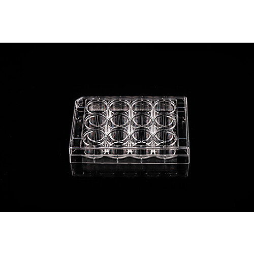 NonTreated Cell Culture Plates