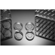 Glass Bottom Cell Culture Plates