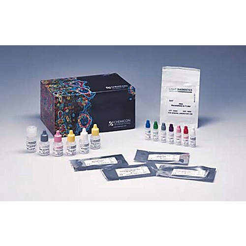 Light Diagnostics Respiratory Panel I Viral Screening and
