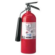 Pro 10 Carbon Dioxide Fire Extinguisher
