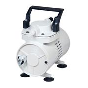 Model 2019 vacuum pump