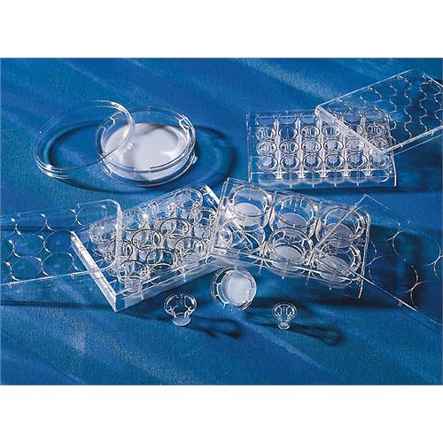 Sterile 6.5mm Membrane Diameter 8µm Membrane Pore Size Corning Transwell 3464 Polystyrene Membrane Insert Clear Case of 48 Sterile 6.5mm Membrane Diameter 8µm Membrane Pore Size Corning Transwell 3464 Polystyrene Membrane Insert Clear Case of 48