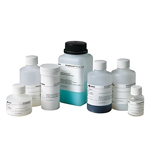 nProtein A Sepharose 4 Fast Flow