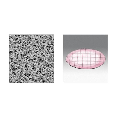 QC Analysis NonSterile Cellulose Acetate Membrane Filters w