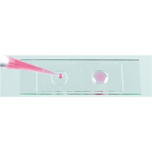 Microscope SlideWells