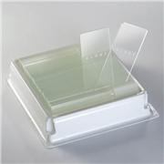 Diamond™ White Glass Color Frosted Microscope Slides