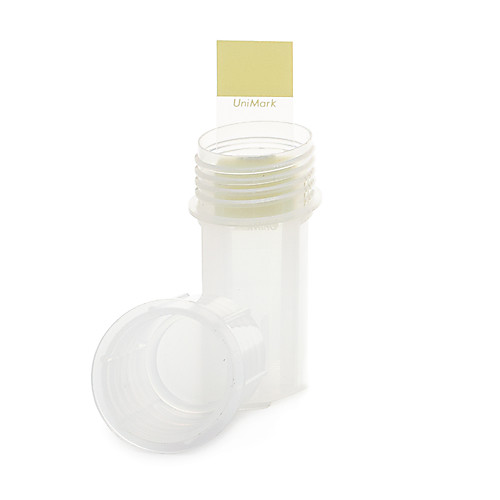 Glass Coplin Staining Jar