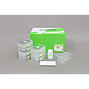 Exiprep 96 Viral DNA/RNA Kit, 384 extractions