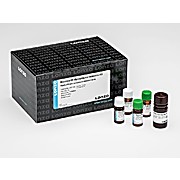MycoAlert™ Mycoplasma Detection Kit
