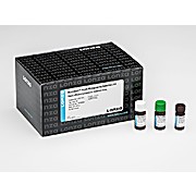 MycoAlert™ PLUS Mycoplasma Detection Kit