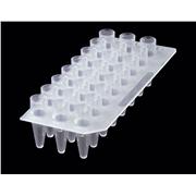 24 Well PCR Microplate. Clear