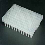 Axygen® 96 Well Polypropylene Segmented PCR Microplate, Clear, Nonsterile