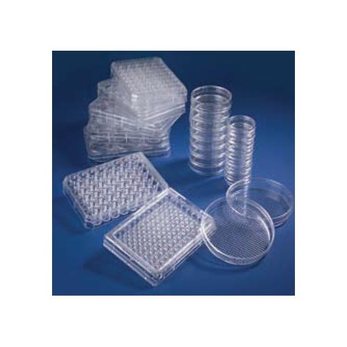 Nunc Dishes with UpCell Surface