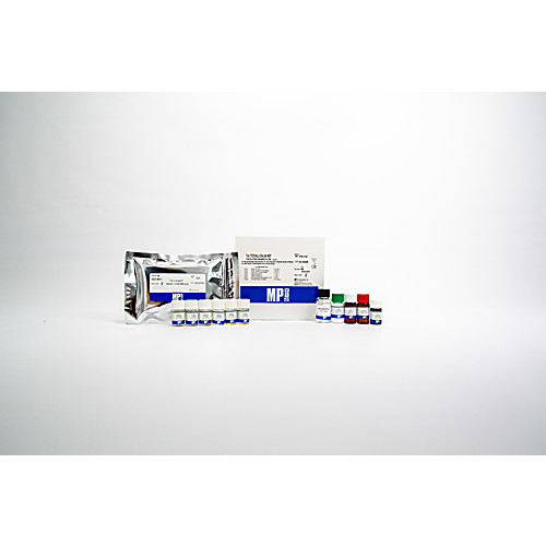 T4 (Total) Chemiluminescence Immunoassay Kit