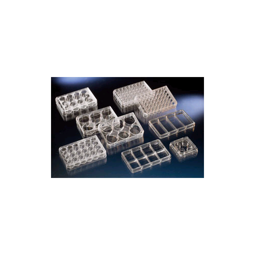 PolyDLysine Coated Multidishes