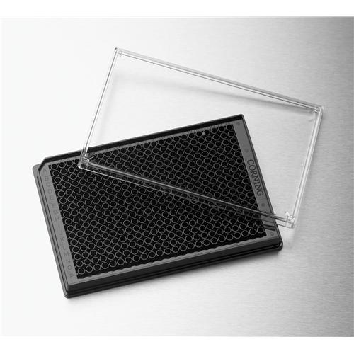 Corning® Low Volume 384 Well Black Flat Bottom Polystyrene TCTreated