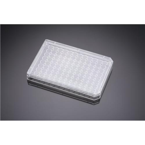 Falcon® Optilux Polystyrene Lid for 384well Microplate with 120µl