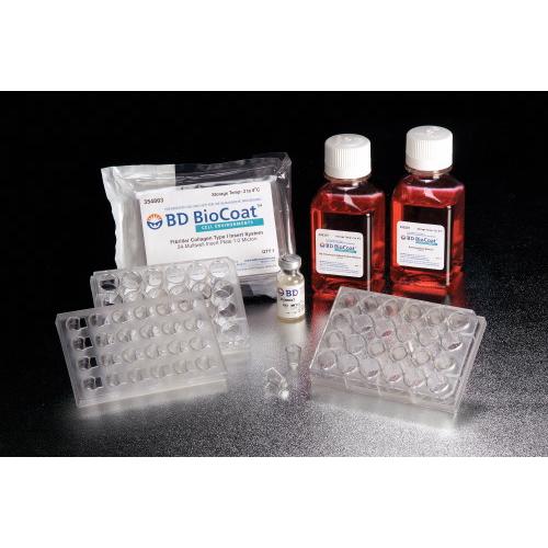 Corning® BioCoat™ Fibrillar Collagen I 24Multiwell Insert Systems, PET
