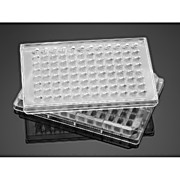 DISCOVERY LABWARE 354482 Polyethylene Terephthalate Collagen I Cellware Insert in 2 x 24 Well Plates 1 µm Membrane Pore Size DISCOVERY LABWARE 354482 Polyethylene Terephthalate Collagen I Cellware Insert in 2 x 24 Well Plates 1 µm Membrane Pore Size
