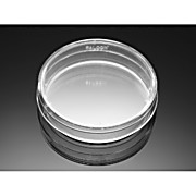 Corning® BioCoat™ Collagen IV-coated Culture Dishes