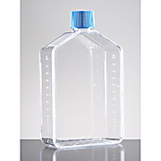 Corning® BioCoat™ Collagen IV-coated Flasks