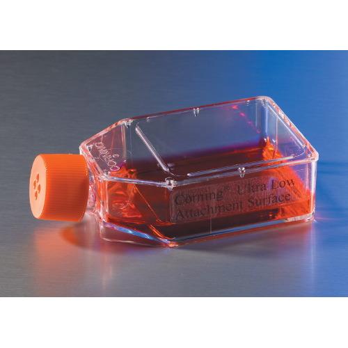 Ultra Low Attachment Rectangular Canted Neck Cell Flasks