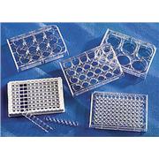 Corning® 96 Well (1 x 8 Stripwell™) Clear Flat Bottom Polystyrene TC-Treated Microplates, Individually Wrapped, with Lid, Sterile