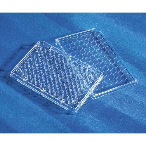 96Well Inserts w / CellBIND