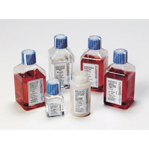 Minimum Essential Medium (MEM)