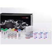 genomic plant dna purification kit at
