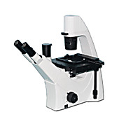 Inverted Compound Microscopes